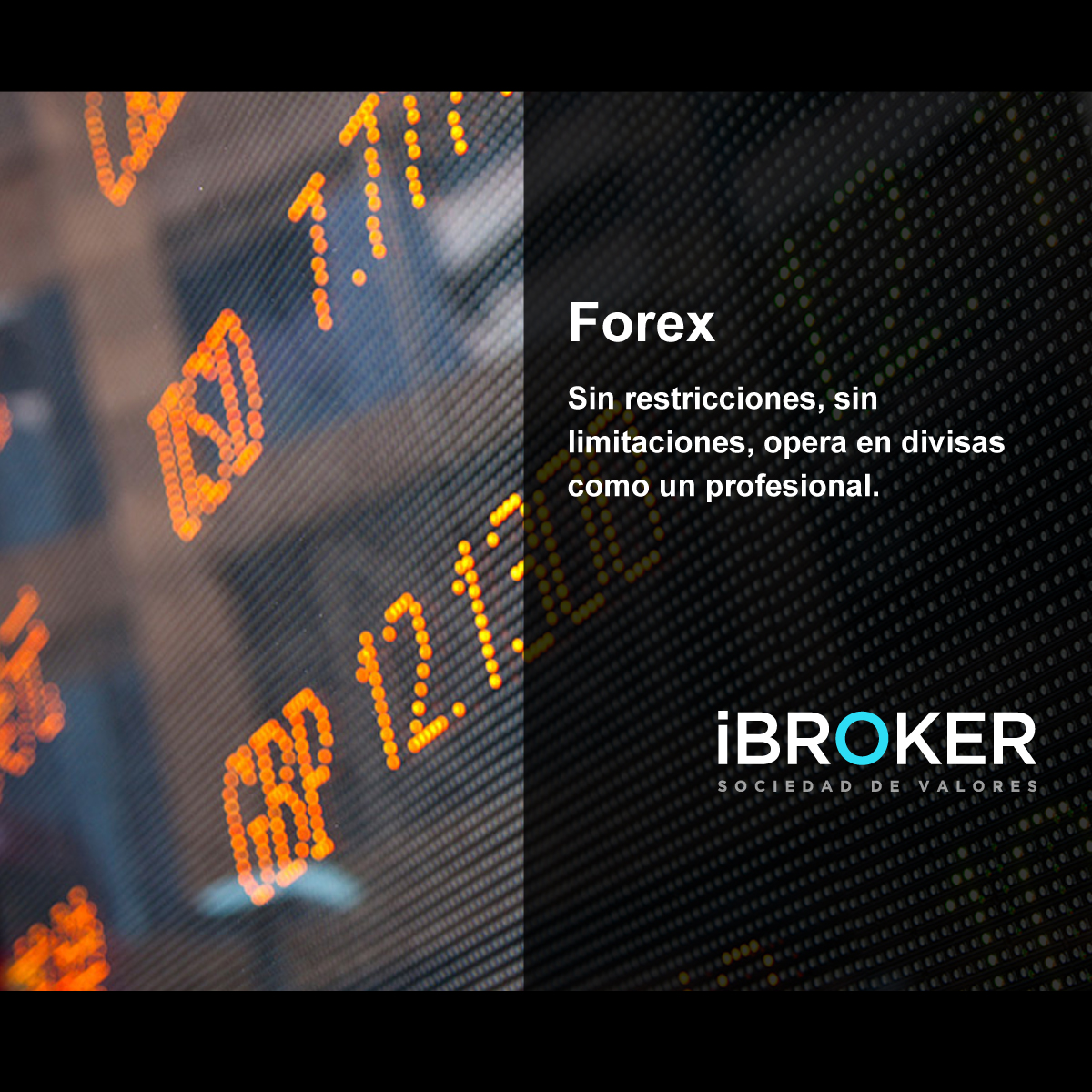 Blog trading en forex divisas